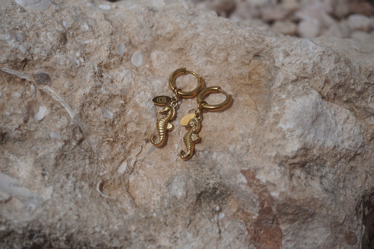 Nala Earrings, Hoops with seahorses, Stainless steel