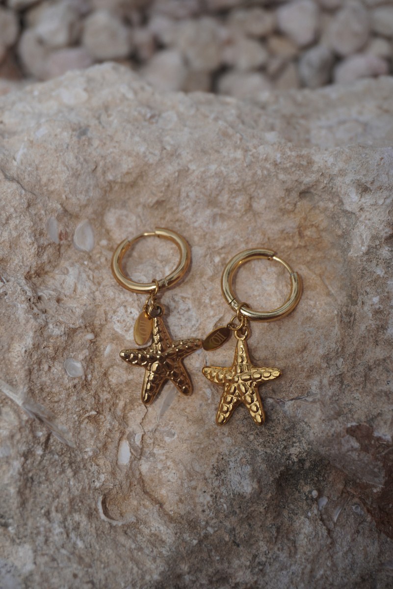 Sia Earrings, Hoops with starfish, Stainless steel